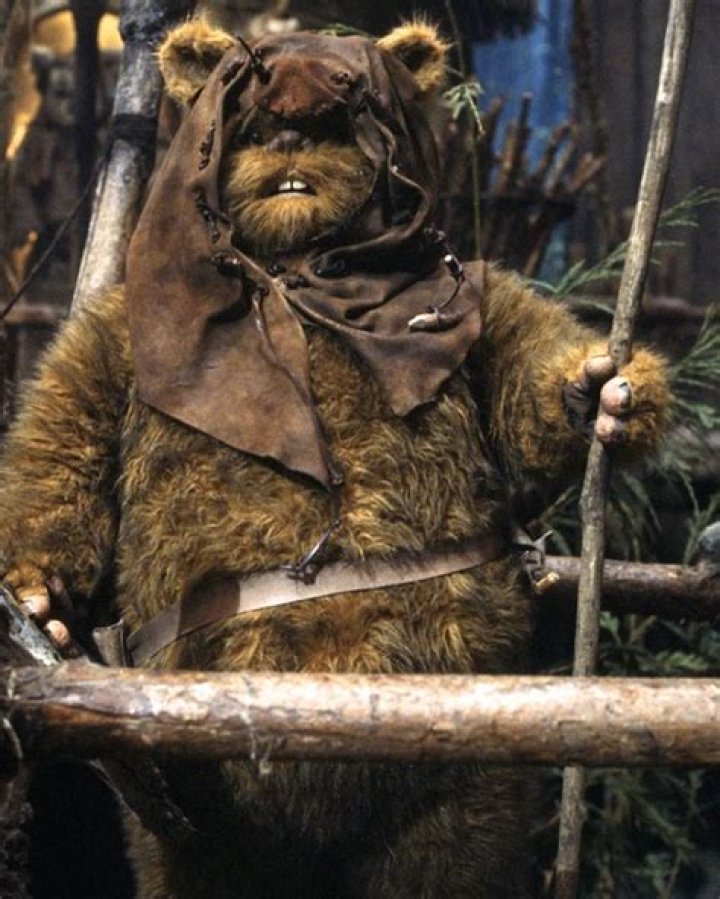 A Romba Ewok is helping another Ewok in the forest.