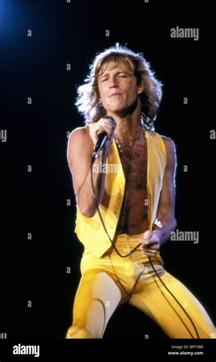 Andy Gibb Andy Gibb