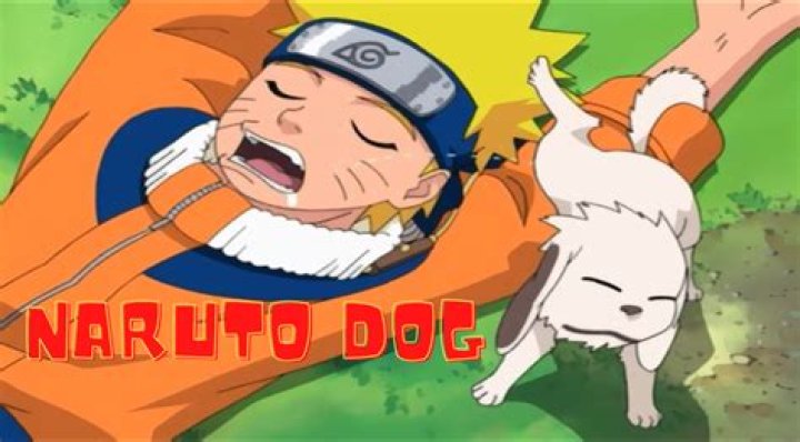 Dog - naruto
