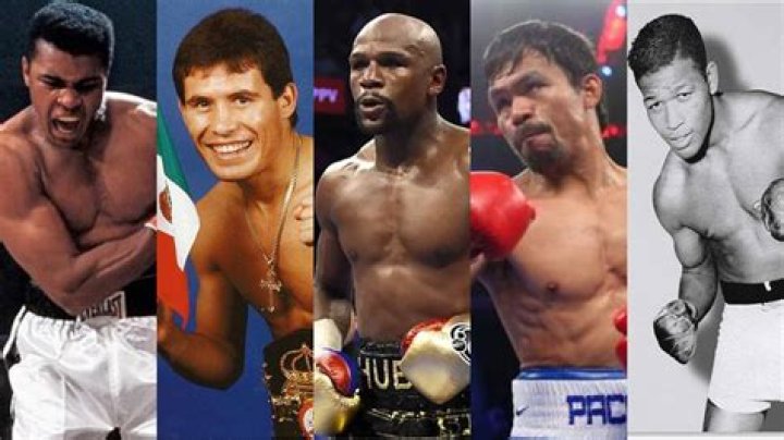 Famous Virgo Boxers