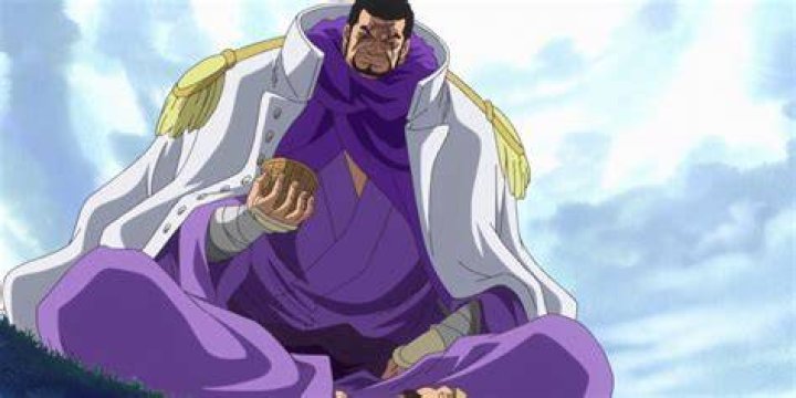 Fujitora One Piece