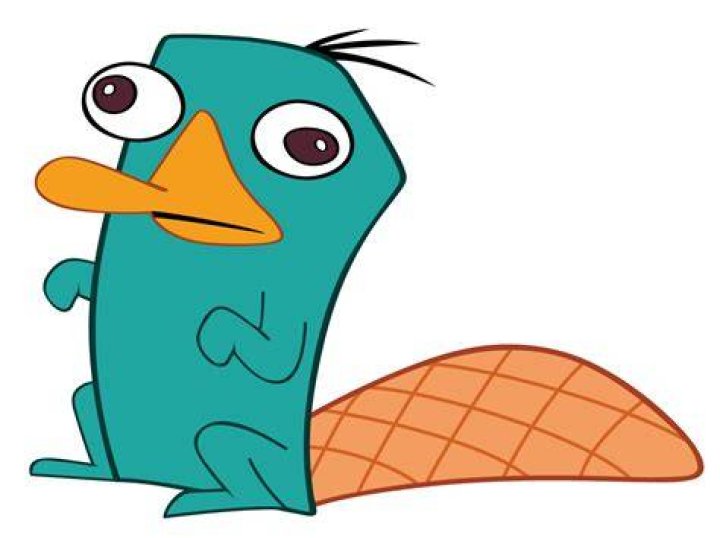 Is Perry the Platypus a girl?