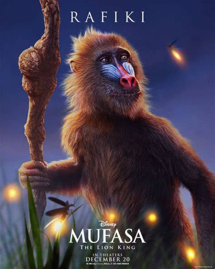 Is Rafiki's Planet Watch worth it?