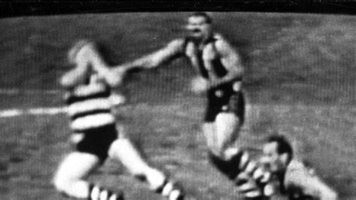Leigh Matthews Leigh Matthews
