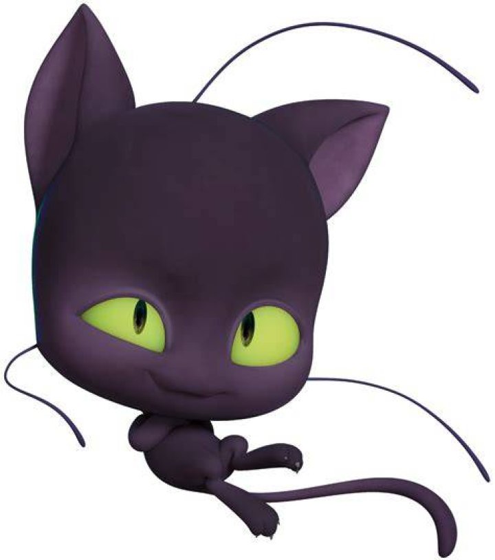 Plagg, Cat Noir, Ladybug, and Tikki in the poster art for 'Miraculous Ladybug'