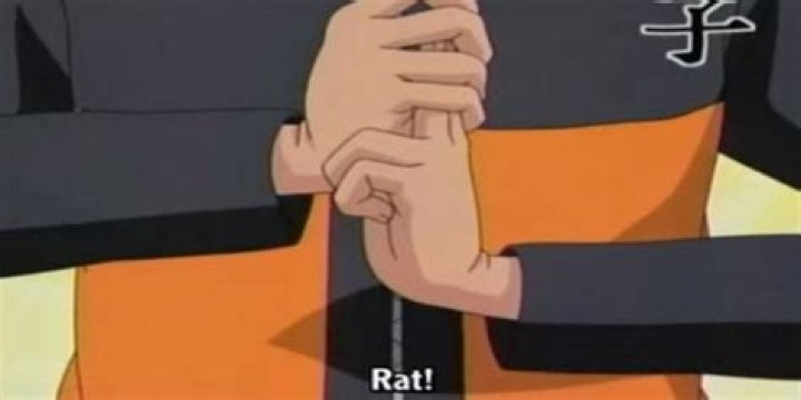 Rat - Naruto
