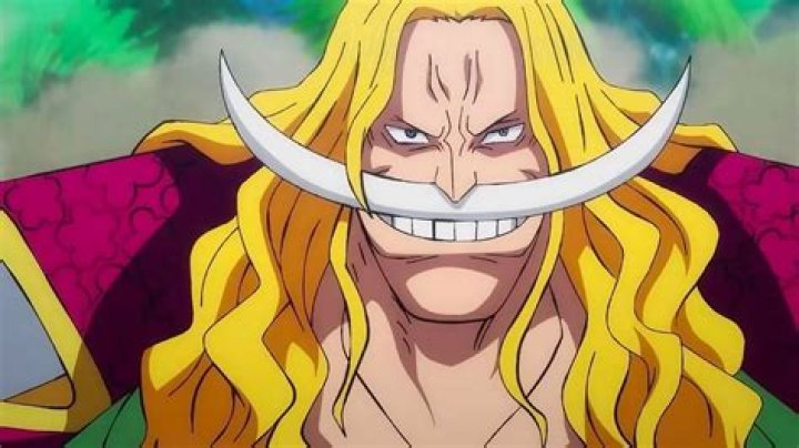 Screengrab from the Marineford flashback with Edward Newgate/ Whitebeard in One Piece