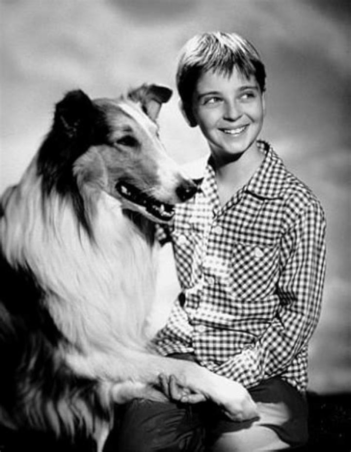 Tommy Rettig Tommy Rettig