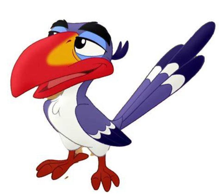 What is Zazu bird?